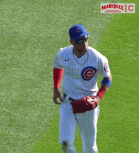 Chicago Cubs GIF by Marquee Sports Network - Find & Share on GIPHY