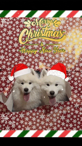 New Year Christmas GIF