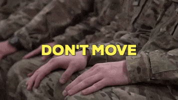 Stop Stay Still GIF by U.S. Army