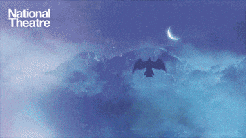 Flying Night Time GIF by National Theatre