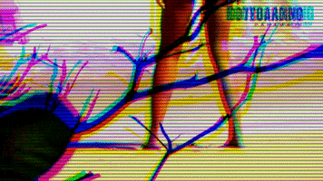 200.gif?cid=fc005b08df85648885968ffb84d432eaea6cd65fd4570908&rid=200.gif&ct=g