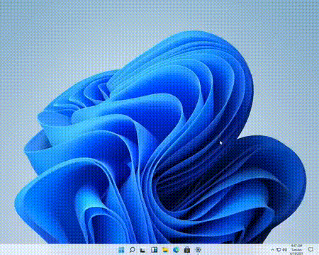 windows11 windows11