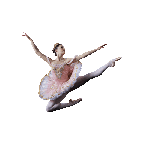 Richmond Ballet Sticker