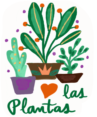 Plantas Plantlover GIF by Ilustrisima