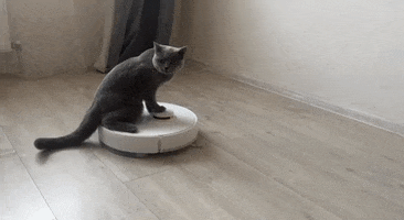 Robot Cleaner Cat GIF