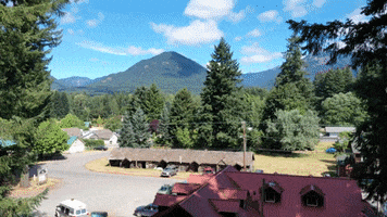 Mountain View Love GIF by Timberland Regional Library