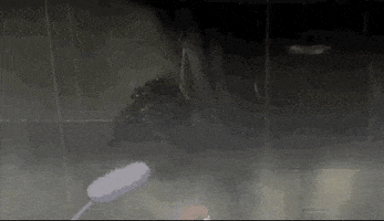 Drink Drinking GIF by All The Anime — Anime Limited