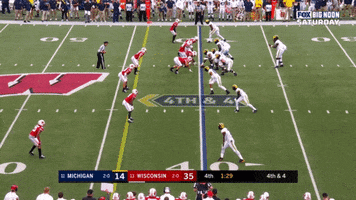 Michigan Football GIF