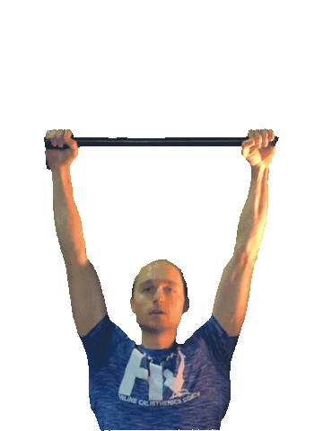 Hendri Vermeer Sticker