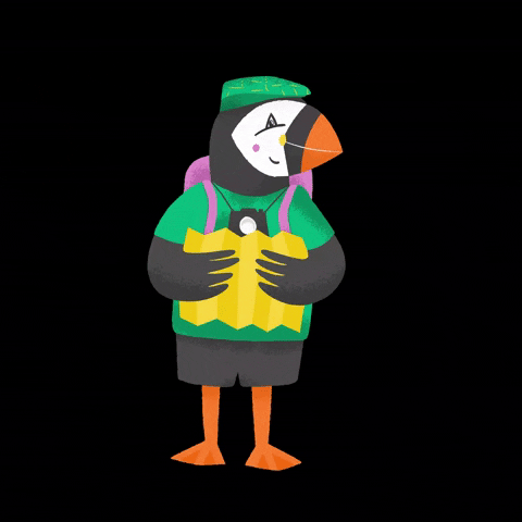 Kerry Puffin GIF by experiencekerry