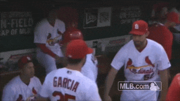 st louis cardinals garcia GIF by MLB