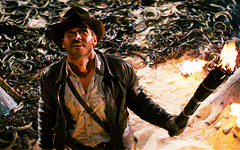 Harrison Ford Torch GIF