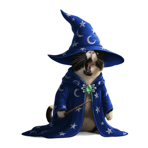 Harry Potter Cat GIF