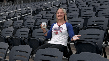 Baseball GIF