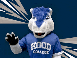 Whats Up Hello GIF by Hood College