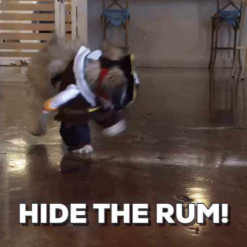 Halloween Funny Dog GIF by DogVacay - Find & Share on GIPHY
