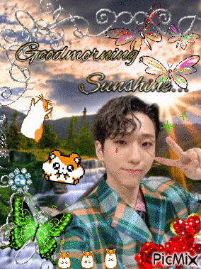Kpop GIF