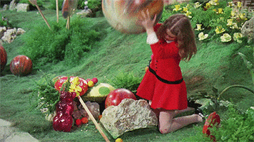 willy wonka and the chocolate factory tantrum GIF