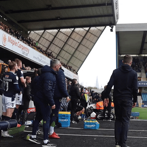 Get In The Den GIF by MillwallFC