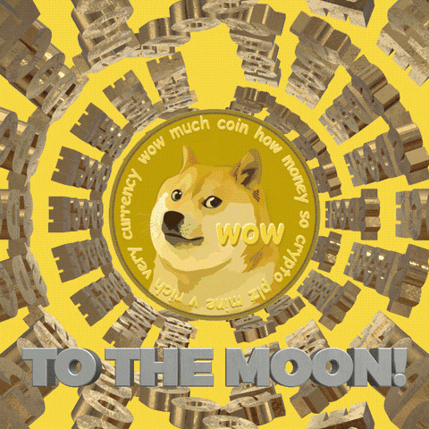 Dogecoin GIF by haydiroket
