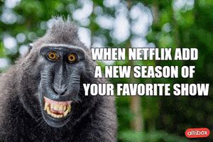 Streaming Services Netflix GIF by Altibox
