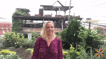 Donorsee GIF