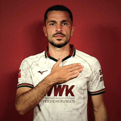 Bundesliga Ibrahimovic GIF by FC Augsburg 1907