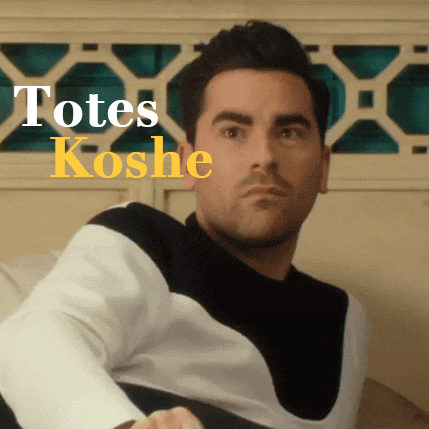 TV gif. Dan Levy as David Rose in Schitt's Creek nods half-sarcastically, giving a thumbs up. Text, "Totes koshe."