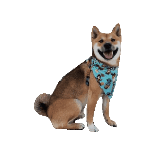 Shiba Inu Happy Dog Sticker by Geekster Pets