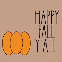 Fall Spooky Season GIF