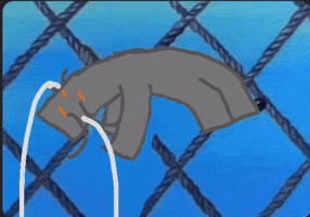 Spongebob Flying GIF