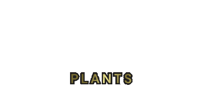Plants Sticker by Mike Stretch