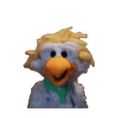 Bird Ok Sticker