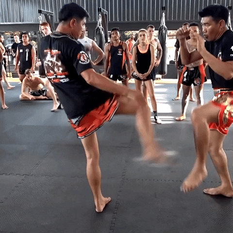 Muay Thai Fighting GIF by JSain123