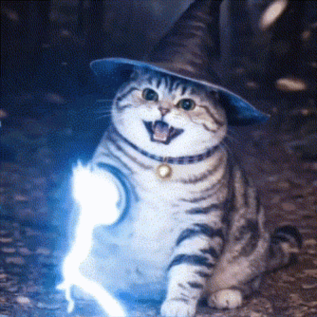 Cat GIF