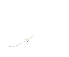 Стрелка Листай Sticker