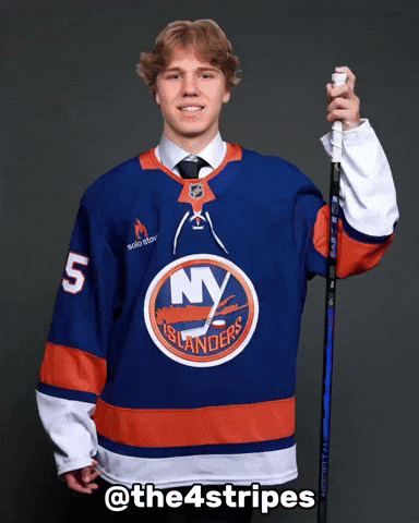 New York Islanders Hockey GIF