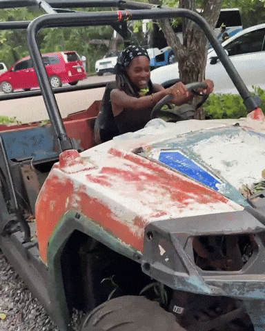 Excited Fast Car GIF