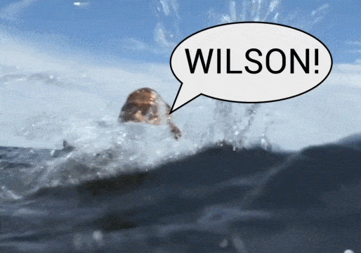 Wilsons meme gif