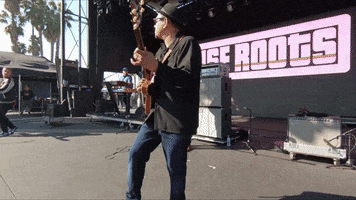 Live Music California GIF by Arise Roots