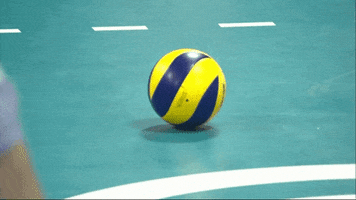 Rolling Go For It GIF by Volleyball World