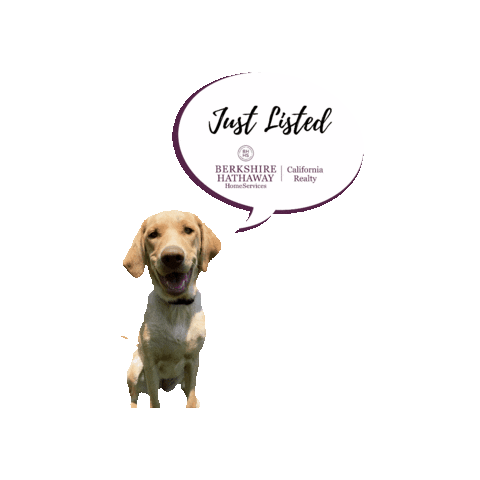 Bhhscarealty Sticker by Berkshire Hathaway HomeServices California Realty