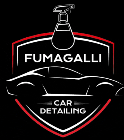 fumagallicardetailing cardetailing fumagalli fumagallicardetailing GIF