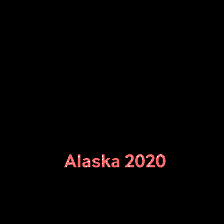 Alaska2020 GIF by United work and travel