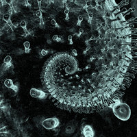 Sick Virus GIF by Feliks Tomasz Konczakowski