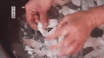 Wash Fish Maw GIF