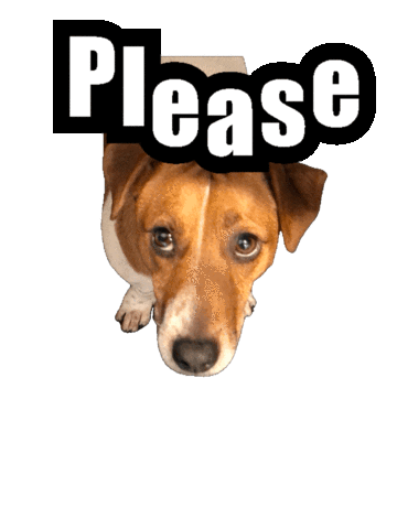 Dog Please Sticker by Global Tara Entertainment