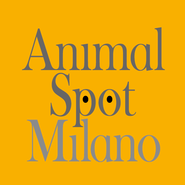 AnimalHouseMilano GIF