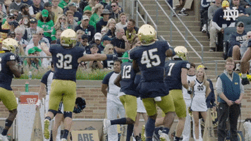 Jump Celebrate GIF by Notre Dame Fighting Irish