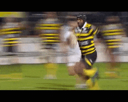 pro d2 course GIF by Stade Montois Rugby